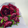 Red Charm Peonies