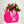 First Class Dozen Pink - Tomuri & Co. Floral Designs