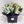 Bag of Blooms