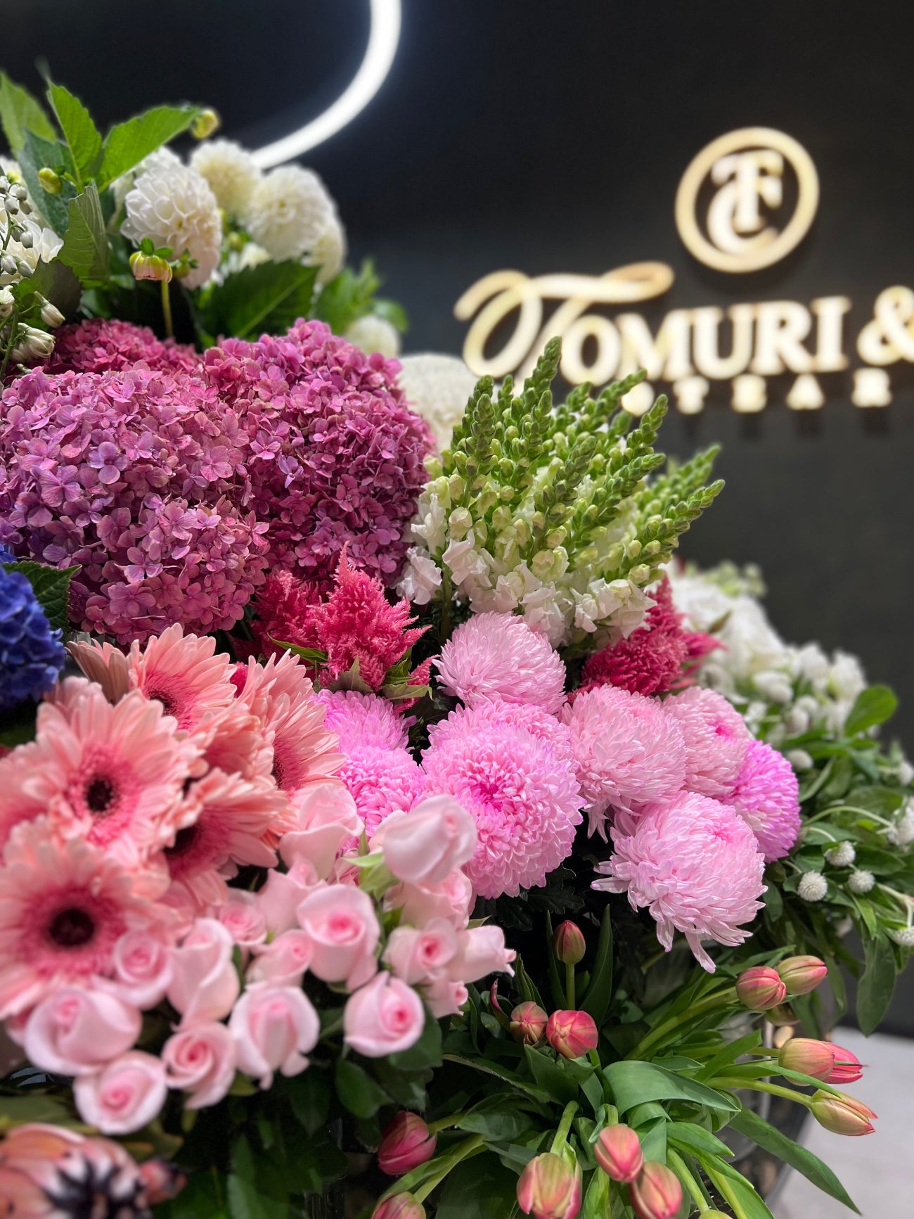 Tomuri & Co. Aotearoa 