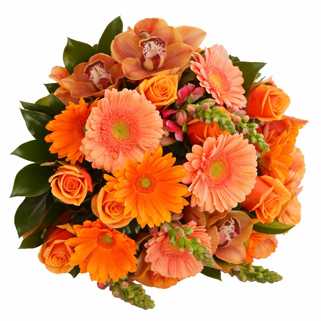 Florists Choice Oranges