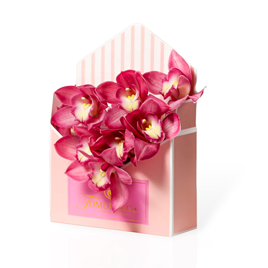 Orchid Envelope