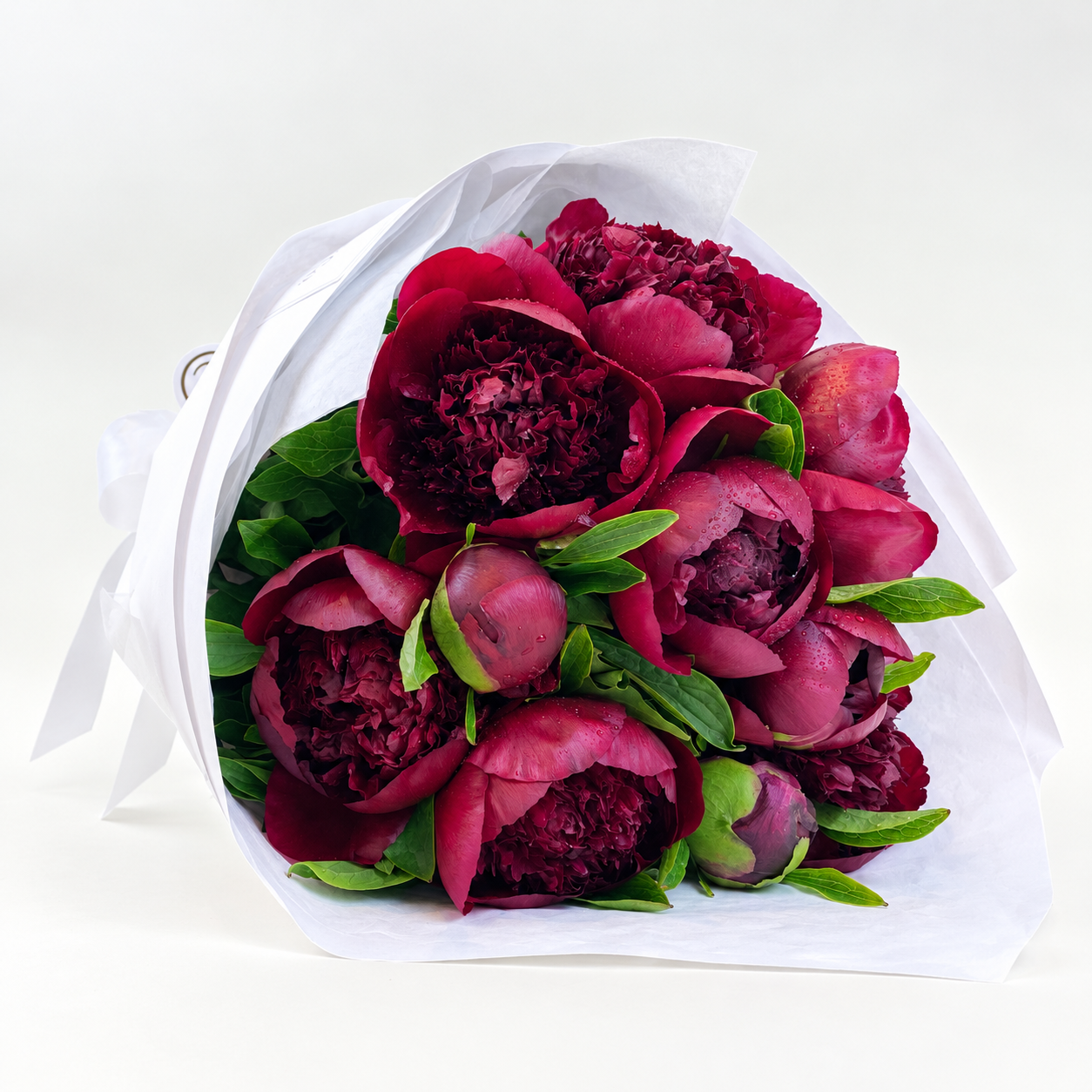 Red Charm Peonies