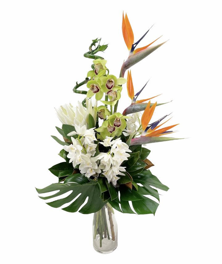 Birds of Beauty - Tomuri & Co. Floral Designs