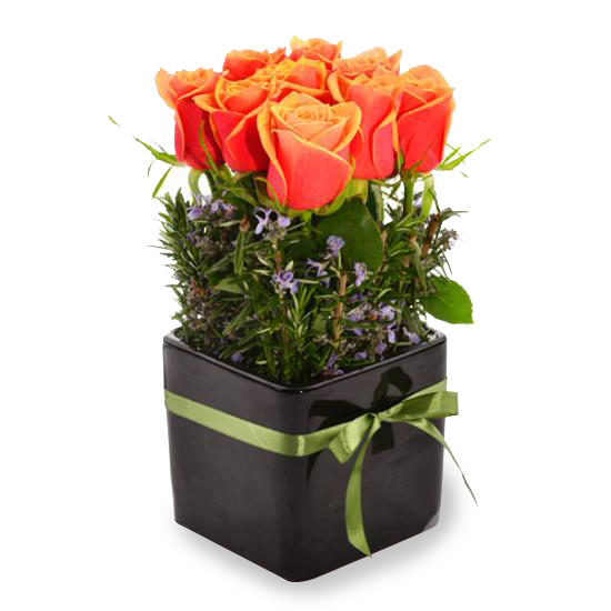 Flame Rose Pot - Tomuri & Co. Floral Designs