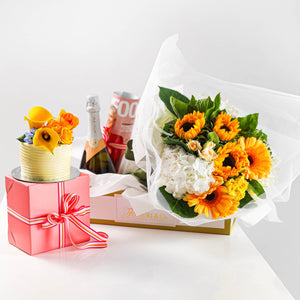 TC Bundle in Sunrise