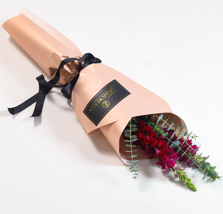 Snapdragons