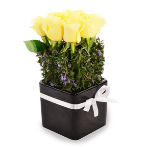 Lemon Rose Pot - Tomuri & Co. Floral Designs