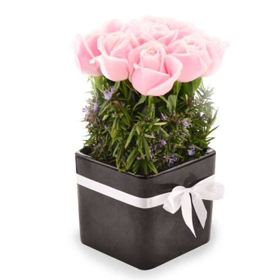 BLUSH ROSE POT - Tomuri & Co. Floral Designs