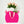 Million Stars Pink - Tomuri & Co. Floral Designs