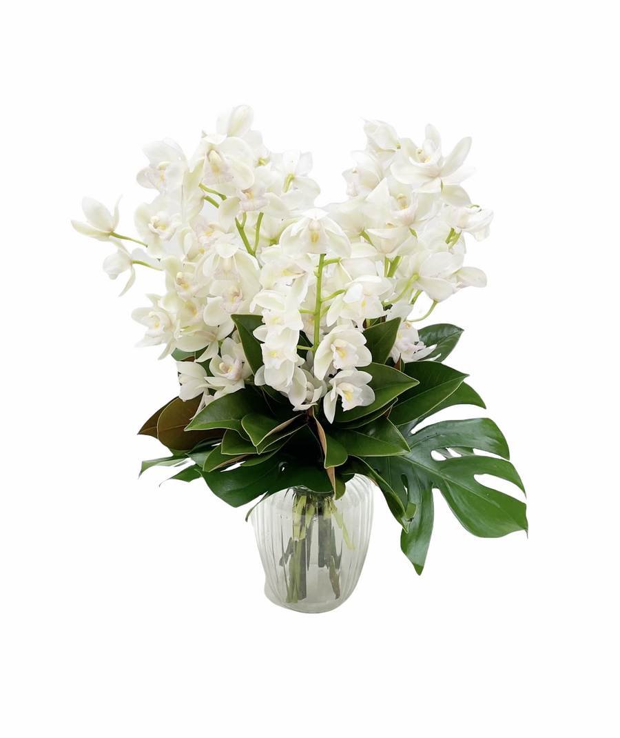 Polymin Orchids - Tomuri & Co. Floral Designs