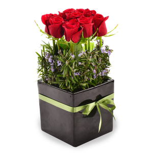 Red Rose Pot - Tomuri & Co. Floral Designs