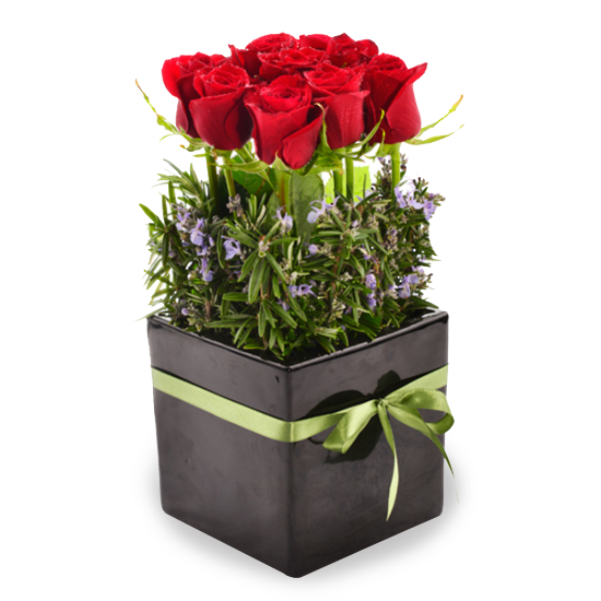 Red Rose Pot - Tomuri & Co. Floral Designs