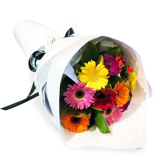 Gerbera Allsorts